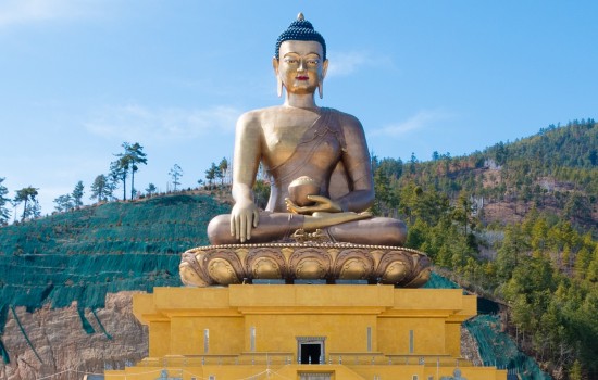 Bhutan Black-Necked Crane Annual Festival Tour (8 Days)
