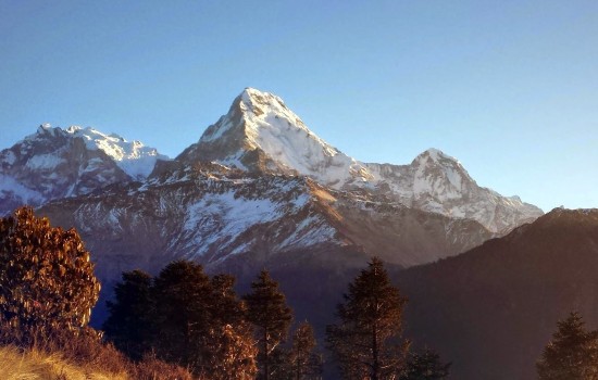 Cultural Tour and Trekking (Nepal, Tibet and Bhutan)